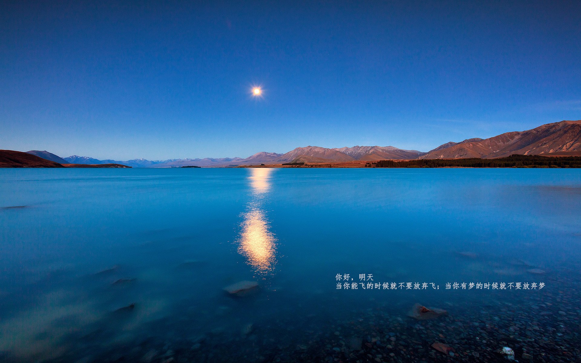 开云网页-从零到英雄：年轻球员成长的精彩故事，球员的经历