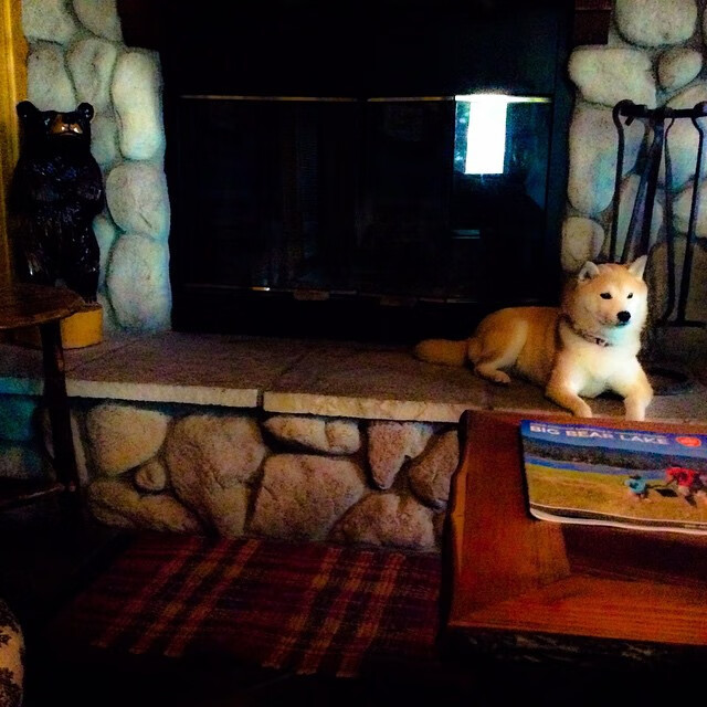 开云体育网页版入口-全境跑酷挑战，穿越城市建筑的极限冒险，全程跑酷游戏