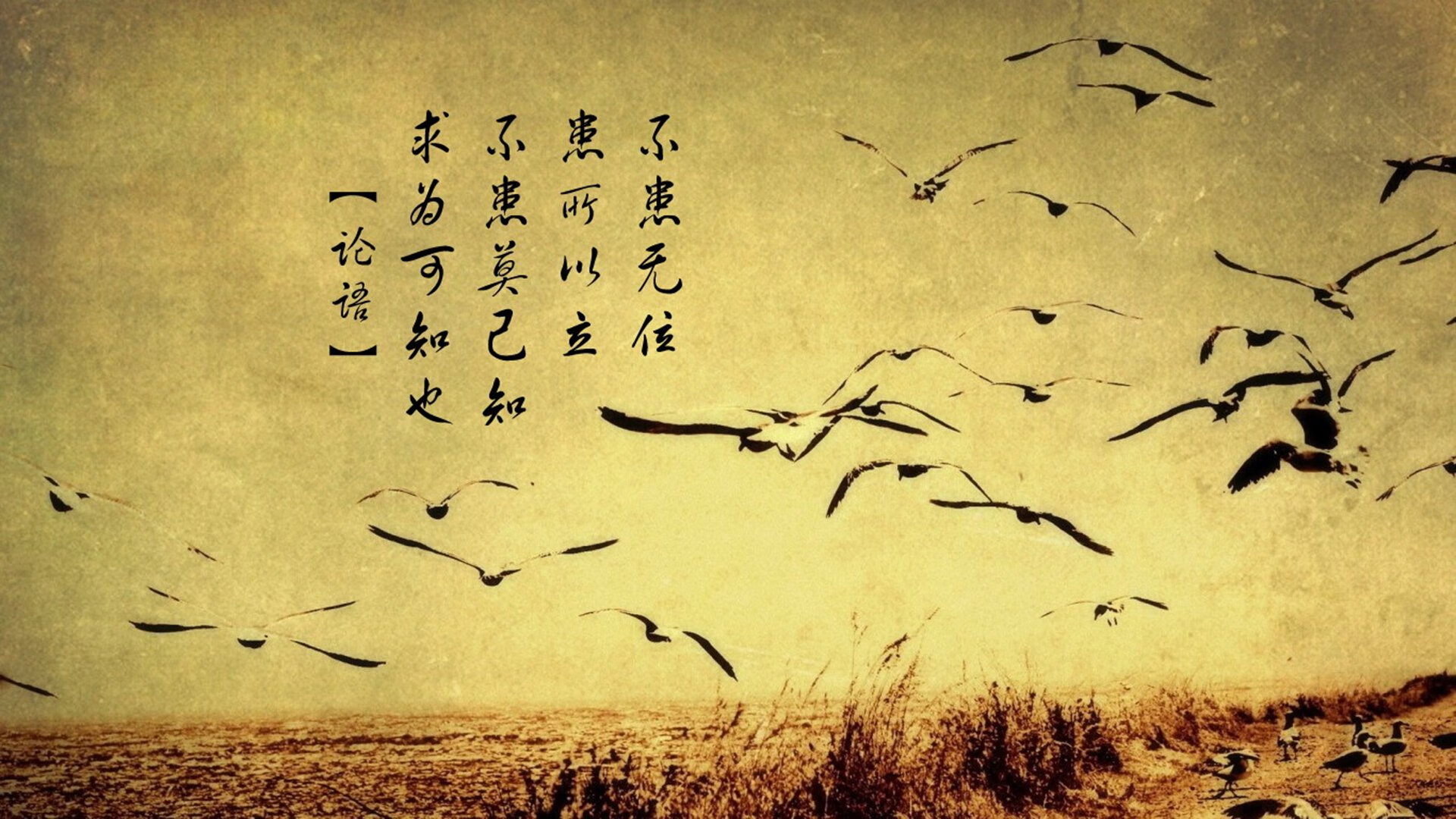 开云在线直播-德甲创新战术方案，开启多元足球时代，德甲技术特点